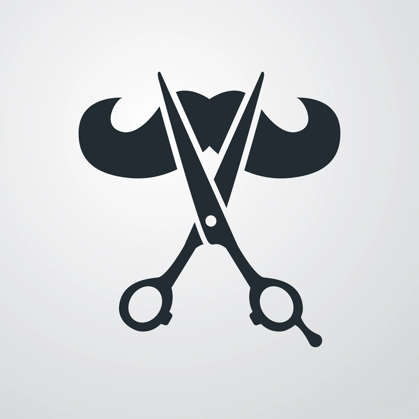 Barber Y. S